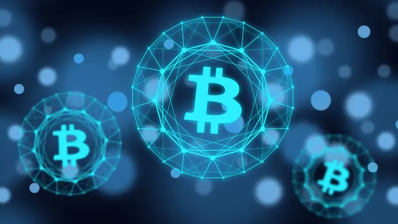 Zebpay Cryptocurrency Bitcoin Exchange App Zebpay Pulls The Plug - 